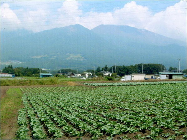 比較的良く撮れた実景写真　佐久（長野県）から見た浅間山。